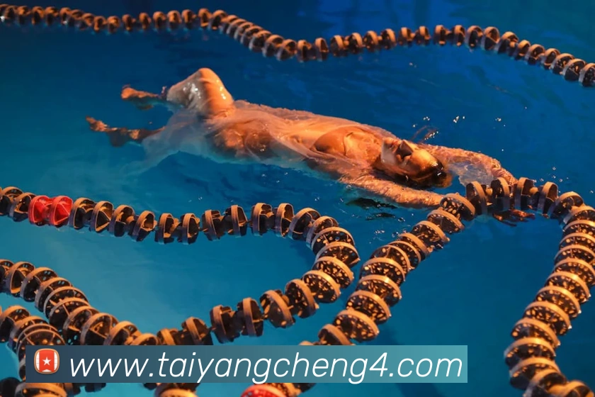 奖项2